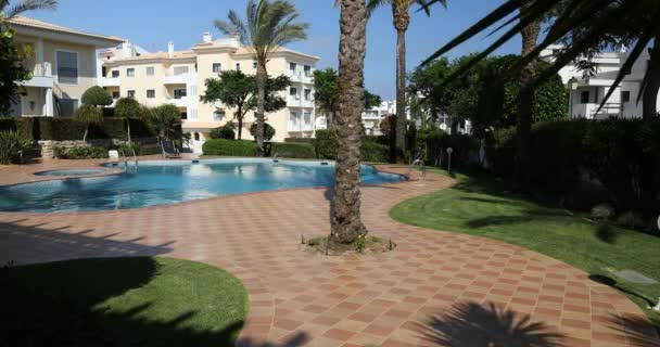 Piscina, tumbonas y palmeras durante un cálido día soleado, destino paradisíaco para vacaciones. Piscina del patio trasero con jardín lleno de palmeras y flores. Patio trasero con piscina. — Vídeos de Stock