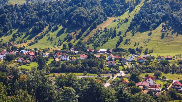 Estate alpina Transilvania punto di riferimento, paesaggio con campi verdi — Foto Stock