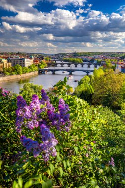 Amazing bahar şehir manzarası, Vltava nehri ve eski şehir merkezi ile 