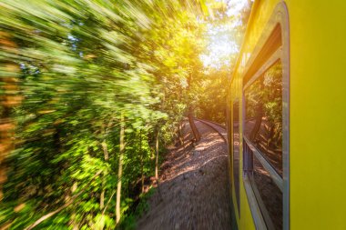 Tren yolculuğu, pencereden manzara. Yeşil vegetati geçen eski tren
