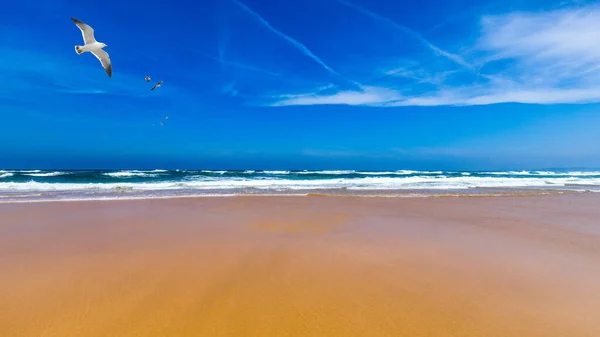 카라파테이라, 포르투갈 근처 프라이아 다 보르데이라 해변. 프라이아 다 보 — 스톡 사진