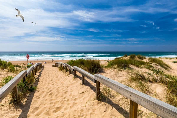View of the Monte Clerigo beach with flying seagulls on the west