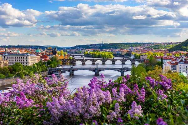 Increíble paisaje urbano de primavera, el río Moldava y el centro de la ciudad vieja con — Foto de Stock