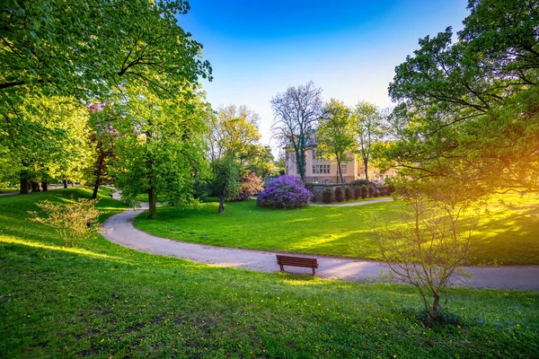 Jarní pohled v parku Letna, Praha, Česká republika. Jaro v pra — Stock fotografie