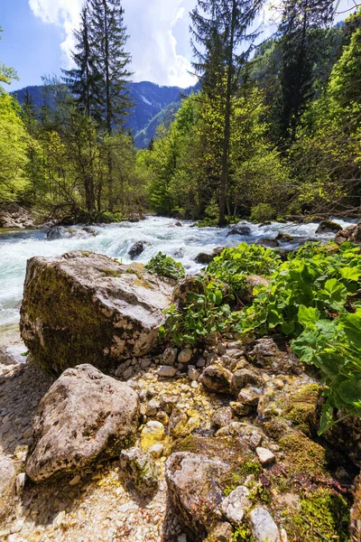 Hegyi vad folyó táj. Folyóvölgy a hegyekben. Mármarosi Éva — Stock Fotó