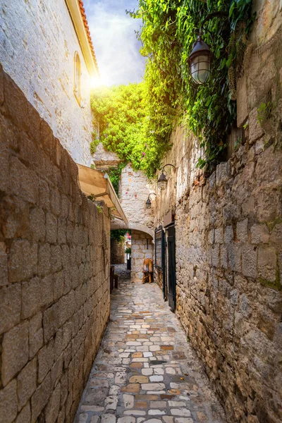 Narrow street in historic town Trogir, Croatia. Travel destinati — Stock Photo, Image