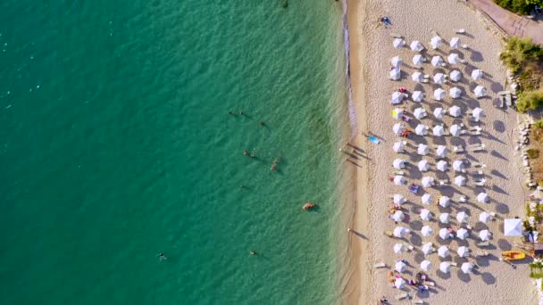 Yunanistan Kefalonia Adasındaki Argostoli Deki Platis Gialos Plajı Lassi Argostoli — Stok video