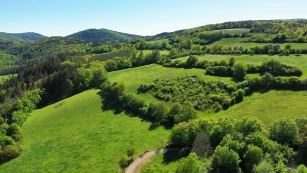 Luchtfoto Van Het Krivoklatsko Beschermde Landschap Tsjechie — Stockvideo