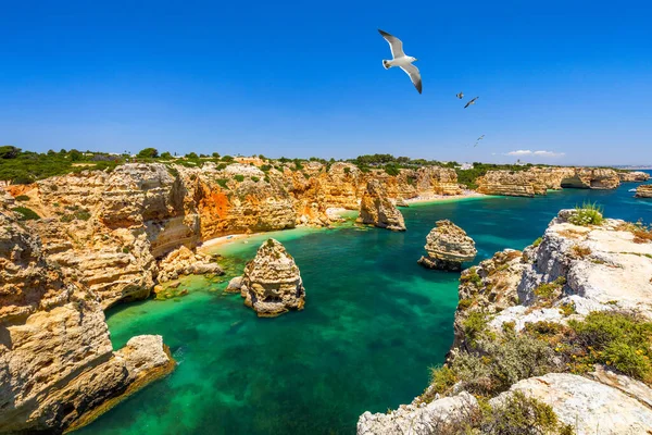 Praia Marinha Hermosa Playa Marinha Algarve Portugal Playa Marina Praia — Foto de Stock