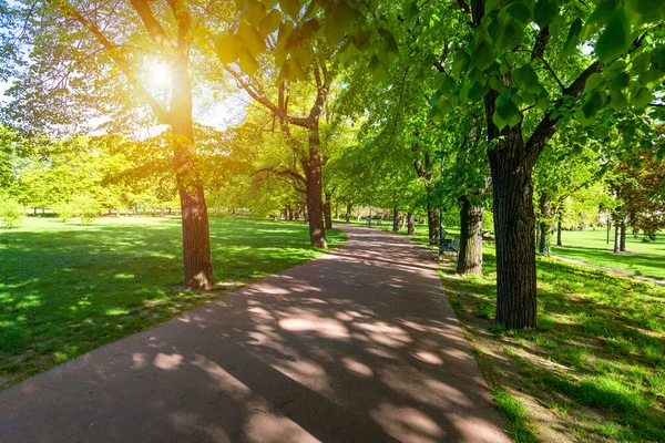 Frühlingsblick Letna Park Prag Tschechische Republik Frühling Prag Praha Schöner — Stockfoto