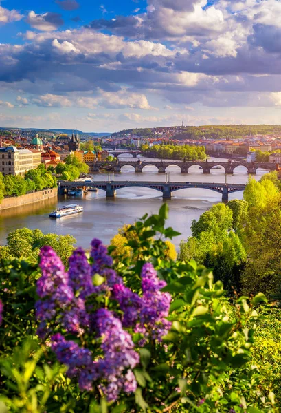 Erstaunliche Frühlingshafte Stadtlandschaft Moldau Und Das Alte Stadtzentrum Mit Bunten — Stockfoto