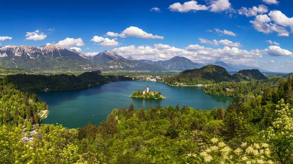 斯洛维尼亚湖美丽的山湖和小朝圣教堂 斯洛文尼亚最有名的湖泊和岛屿与圣母升天朝圣教堂一起被炸 Bled Slovenia Europe — 图库照片