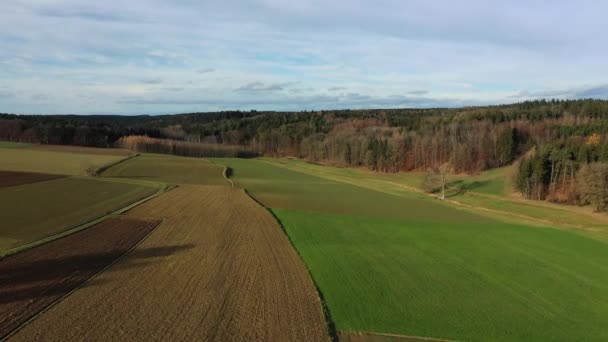 Friss Vetés Mezőgazdasági Téma Kis Dombok Erdő Látható Távolban Quadcopter — Stock videók