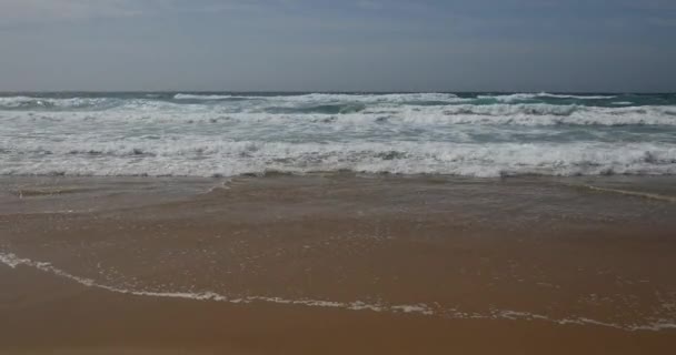 Praia da Bordeira και εξέδρες περιπάτου που αποτελούν μέρος του μονοπατιού της παλίρροιας ή Pontal DA Carrapateira περπατώντας στην Πορτογαλία. Εκπληκτική θέα της Praia da Bordeira στα Πορτογαλικά. Bordeira, Αλγά, Πορτογαλία. — Αρχείο Βίντεο