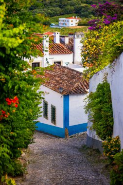 Portekiz 'in Obidos şehrinde ortaçağ kalesi, Lizbon, Portekiz yakınlarında tarihi duvarlarla çevrili Obidos kasabası var. Portekiz, Obidos Ortaçağ Kasabası 'nın güzel manzarası. 