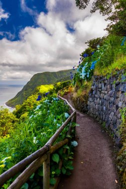 Bakış açısı Ponta do Sossego, Sao Miguel Adası, Azores, Portekiz. Miradouro da Ponta do Sossego Nordeste, Sao Miguel, Azores, Portekiz. 