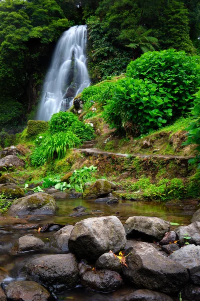 Cascada Parque Natural Ribeira Dos Caldeiroes Sao Miguel Azores Portugal — Foto de Stock