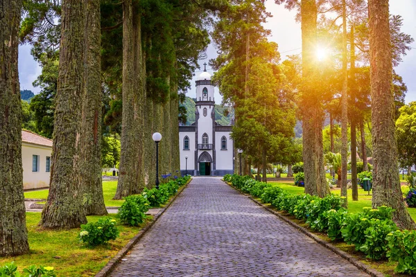 Sao Nicolau Templom Saint Nicolas Magas Fák Hortenzia Virágok Sikátorával — Stock Fotó
