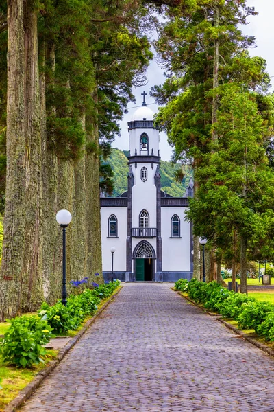 Igreja São Nicolau São Nicolau Com Beco Árvores Altas Flores — Fotografia de Stock