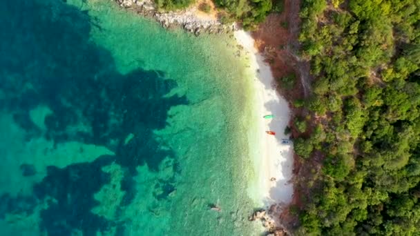 ギリシャのケファロニア島のAntisamosビーチで美しいクリスタルクリア紺碧の水 ケファロニア島 イオニア島 セファロニア島 アンティサモスビーチ ギリシャのアンティサモスビーチと美しい海の湾 — ストック動画