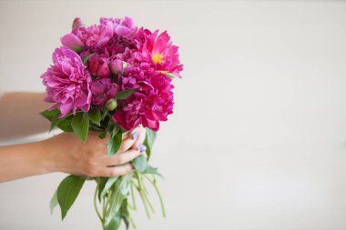 Pembe peonies güzel buket. Kadınların elleri çiçek dolu bir kucak.