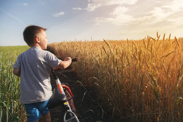 Niño Está Montando Una Bicicleta Través Del Campo Con Trigo — Foto de Stock