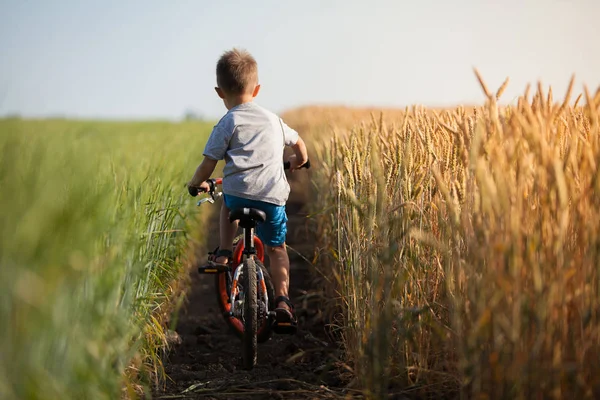 The boy is riding a bicycle in the countryside.