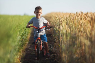 Bir çocuk bir buğday alanında bir bisiklet ile gidiyor.