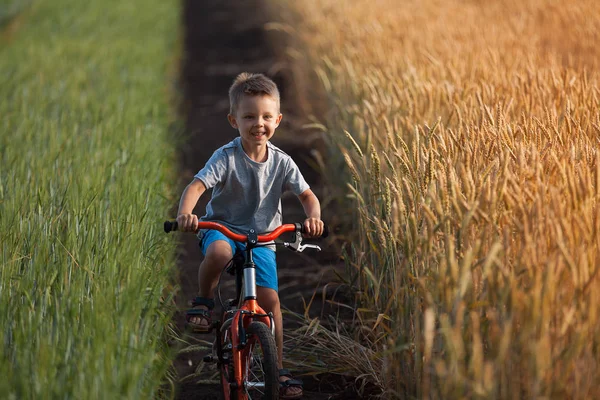Güzel bir oğlan kırsal boyunca bir bisiklet ile gidiyor.