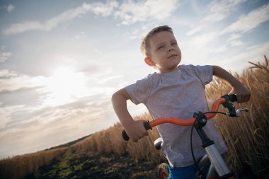 Güzel bir çocuğun bir bisiklet üzerinde duruyor ve mesafe içine görünüyor. Buğday ve gökyüzünde güzel bir güneş alan.