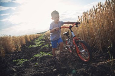 Alan toprağa üzerinde bisiklet bir çocuk alanında iter.