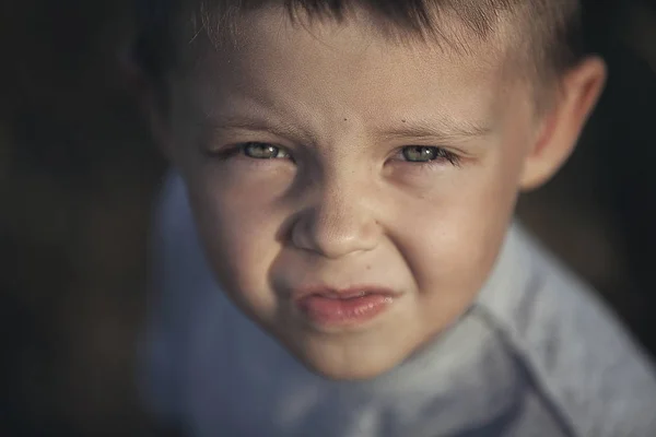 Портрет Красивого Симпатичного Хлопчика Дошкільного Віку — стокове фото