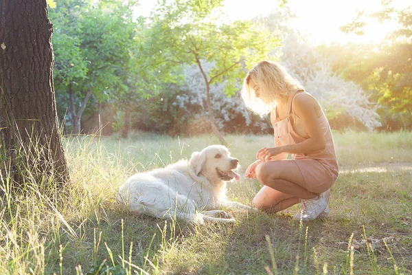 Bir kızla bir golden retriever parkta yürüyor. Köpek yorgun ve bir ağacın altında istirahat yatıyor.