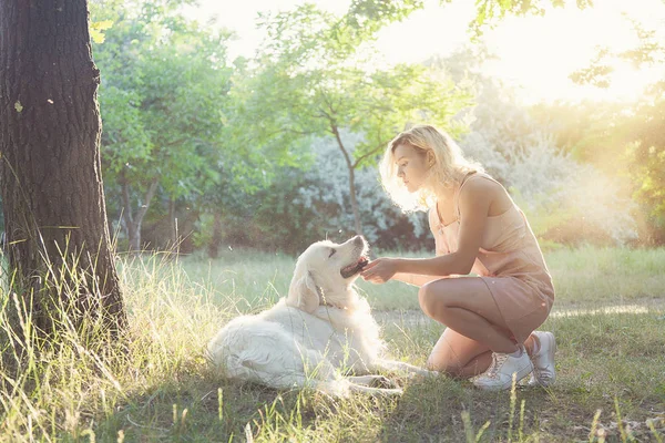 純血種の犬との散歩にかわいい女の子 — ストック写真
