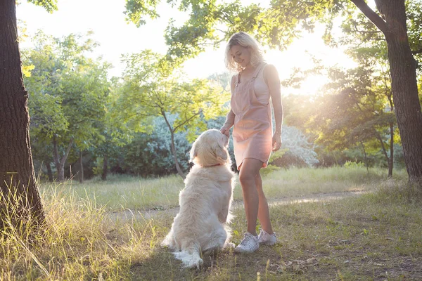 公園内の美しい美しい犬との散歩にかわいい若い女の子 — ストック写真