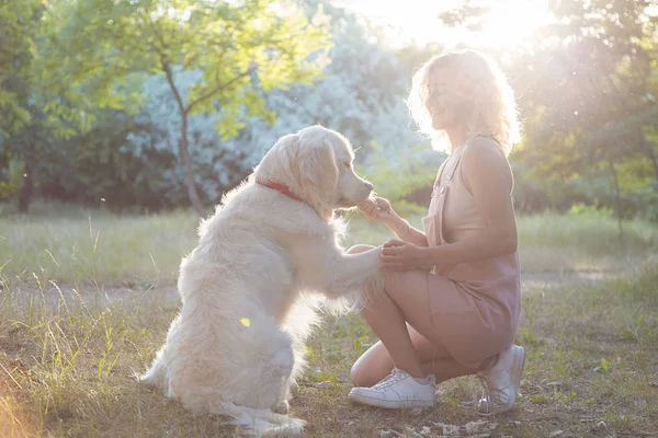 公園内の美しい美しい犬との散歩にかわいい若い女の子 — ストック写真