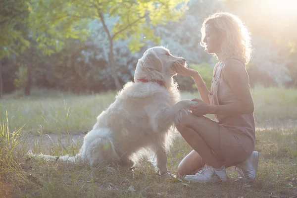 Милая Молодая Девушка Прогулке Красивой Красивой Собакой Парке — стоковое фото