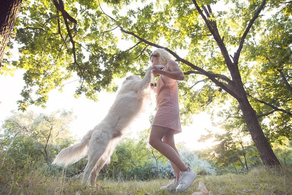 Милая Молодая Девушка Прогулке Красивой Красивой Собакой Парке — стоковое фото