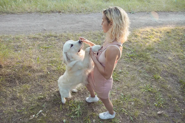 Söt Ung Flicka Promenad Med Vacker Vacker Hund Parken — Stockfoto