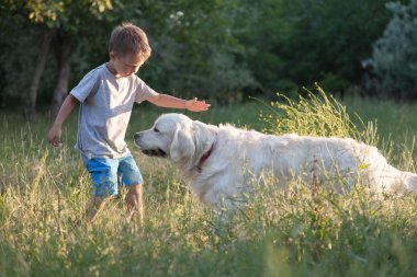 Parkta bir yürüyüş için a evde beslenen hayvan ile bir çocuk. Bir çocuk bir arkadaşıyla bir köpek çalış..
