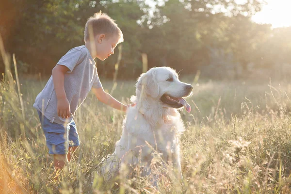 Parkta bir yürüyüş için a evde beslenen hayvan ile bir çocuk. Bir çocuk bir arkadaşıyla bir köpek çalış..