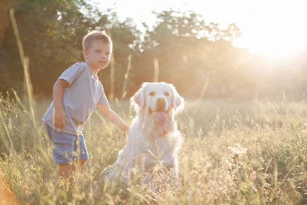 Uma Criança Com Animal Estimação Para Passeio Parque Menino Brinca — Fotografia de Stock