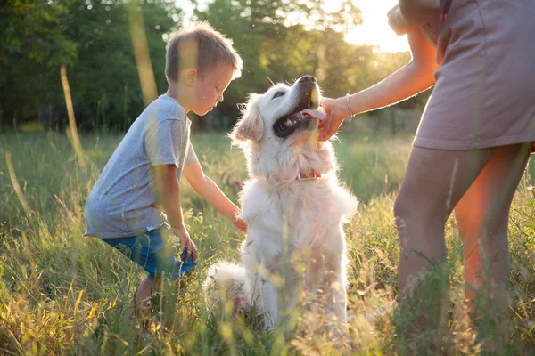 公園に散歩にペット連れのご家族 ママと息子は犬と遊んでいます — ストック写真