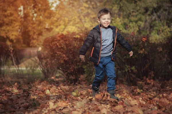 Милий Хлопчик Гуляє Парку Восени — стокове фото