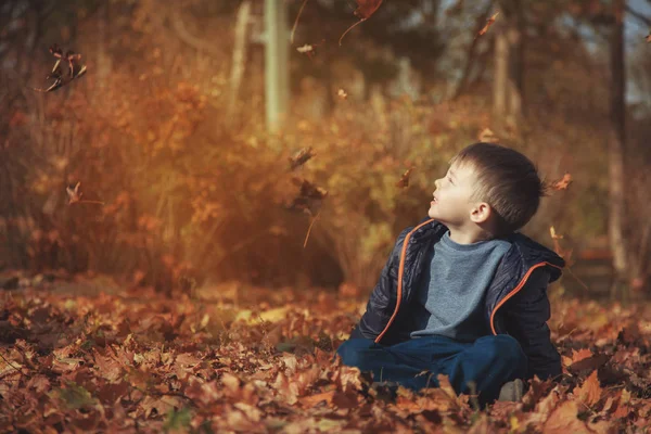 Красивий Хлопчик Сидить Парку Восени Дивиться Вгору — стокове фото