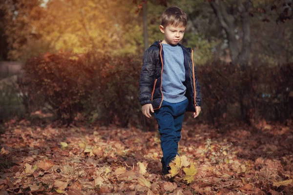 Милий Хлопчик Гуляє Парку Восени — стокове фото