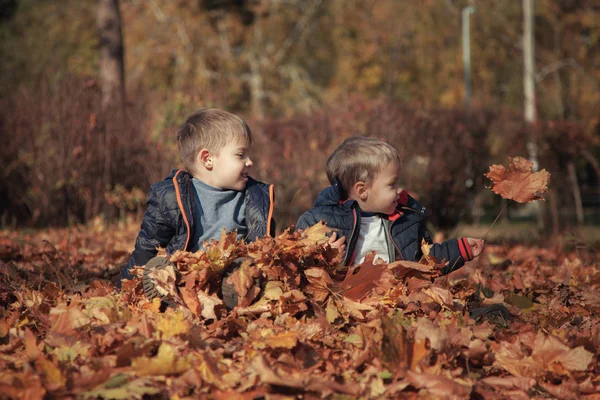 Dos Hermanos Están Sentados Parque Las Hojas Amarillas Caídas — Foto de Stock