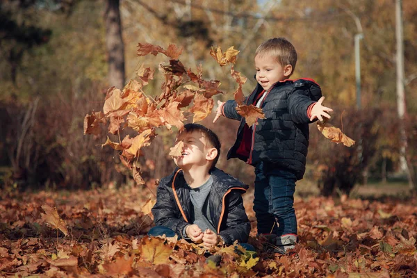 Dos Hermanos Entregan Las Hojas Amarillas Caídas Parque — Foto de Stock