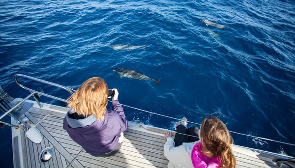 Yunuslar okyanus izlerken bir yatta tatil insanlar.