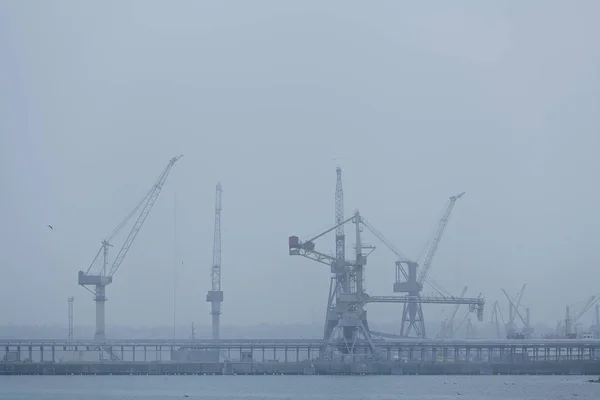 Production Cranes Located Port Foggy Weather — Stock Photo, Image